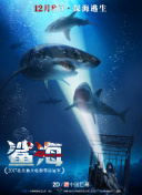 加载中